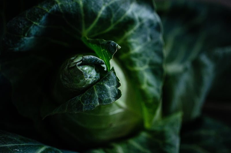 Veggie-licious Creations